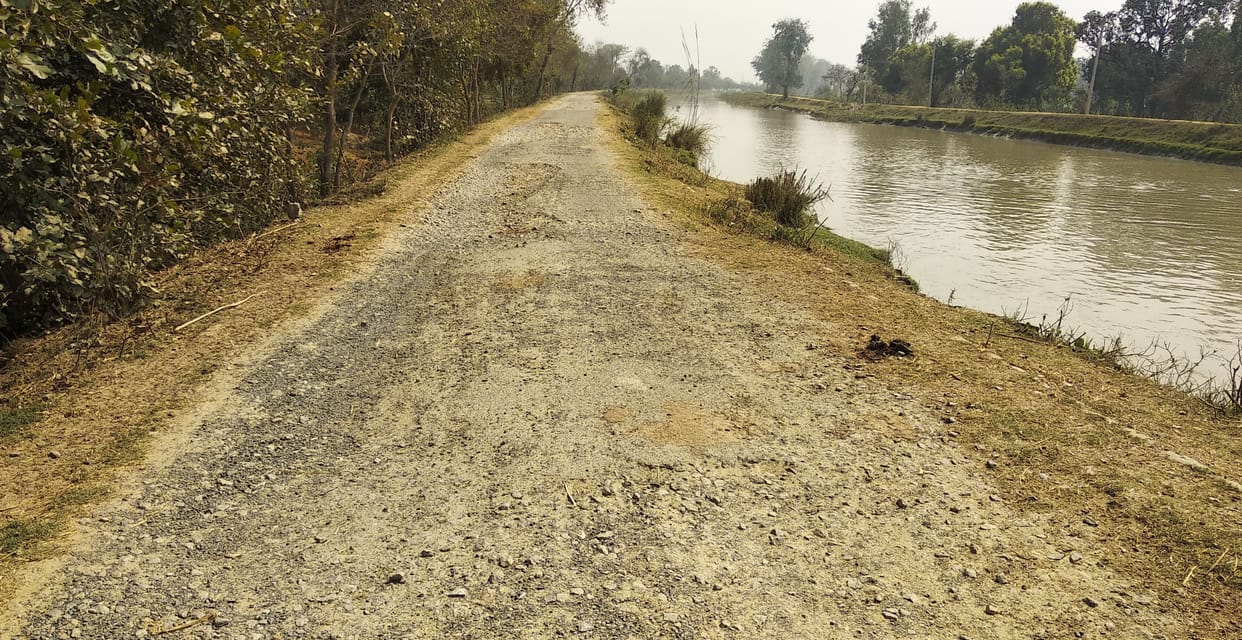 Etawah-Bhoganipur canal track missing in pits