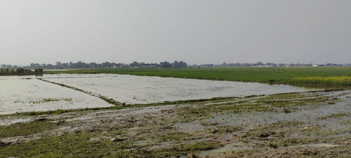 canal embankment broken water in 500 bigha wheat crop in chandauli