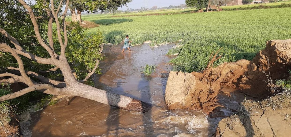 Minor cut in Bombay, hundreds of bigha crop submerged