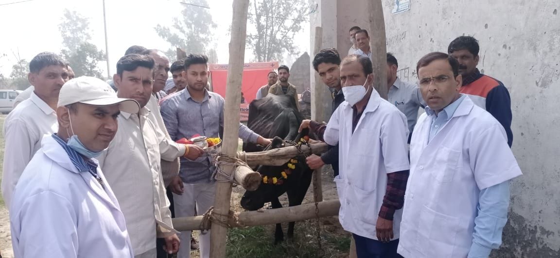 Investigation of 466 animals at Jansath fair