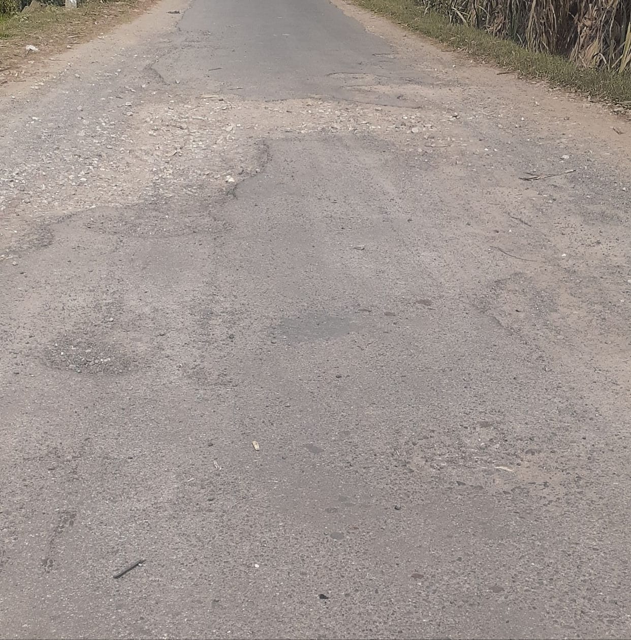 Muzaffarnagar-Saharanpur State Highway-59 Rohana
