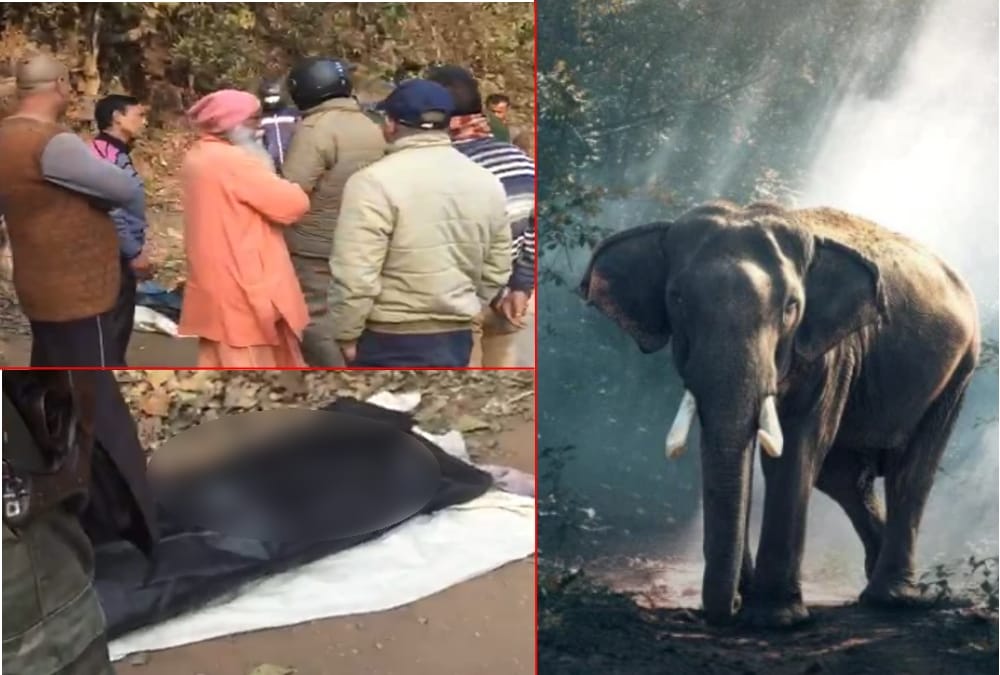Rishikesh Latest News: Angry Tusker Elephant killed Youth in Rajaji tiger reserve Area photos
