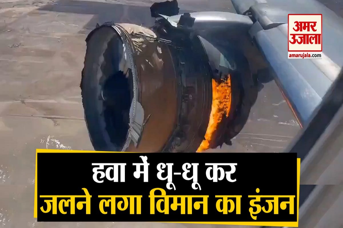 वायरल वीडियो