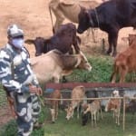 BSF at Indo-Bangladesh International Border