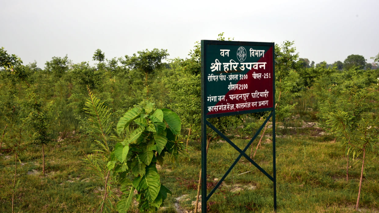 green coredore ganga van to bhagrithi van