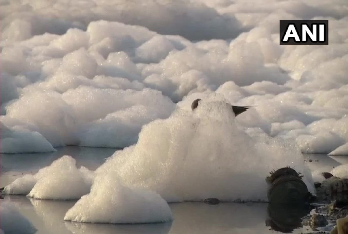 toxic foam layer floating on surface of Yamuna in Kalindi Kunj river