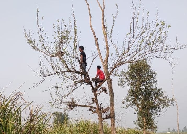 Leopard sighting noise, villagers panic