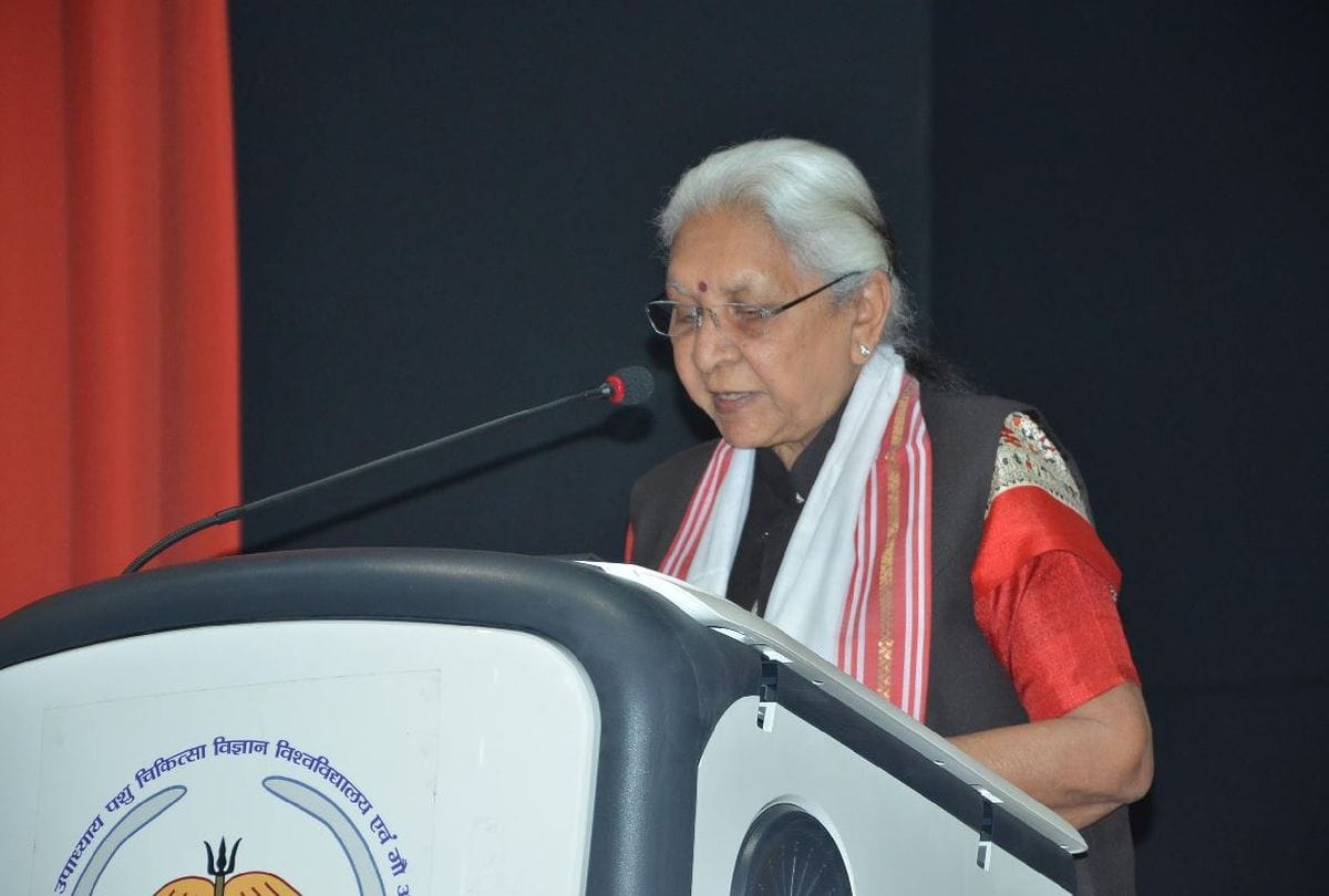Anandiben Patel Reach In Veterinary University Mathura News In Hindi