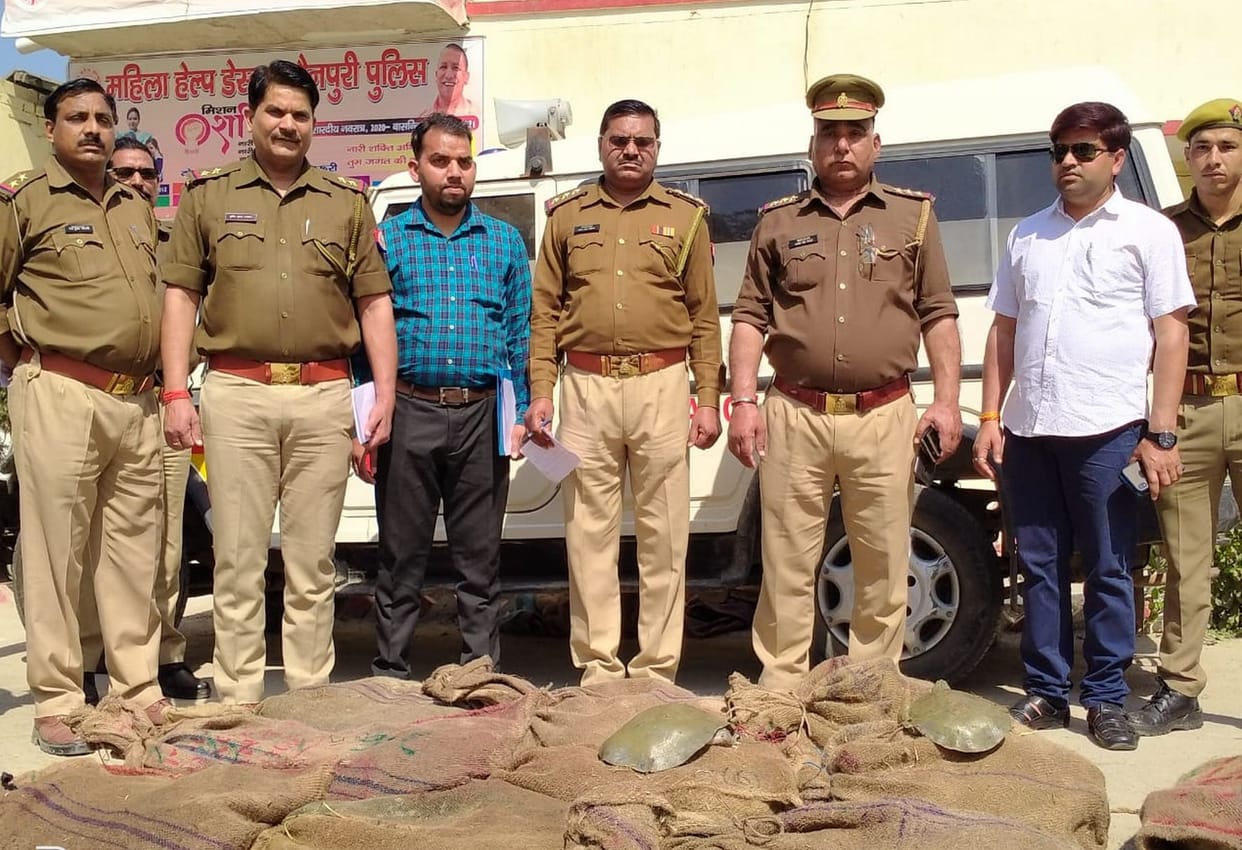 police caught turttle thief