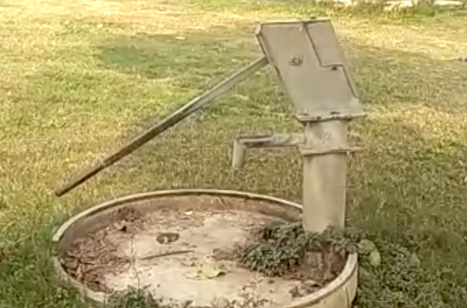 Famous Indira Park victim of neglect by the name of Chaman