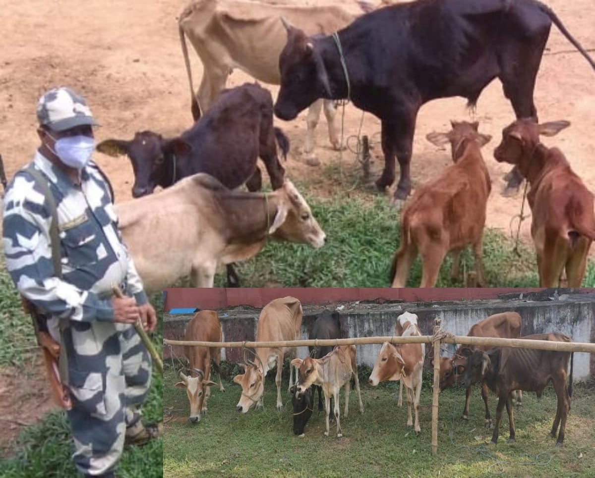 1045 infiltration cases during the last two years on the India-Bangladesh border