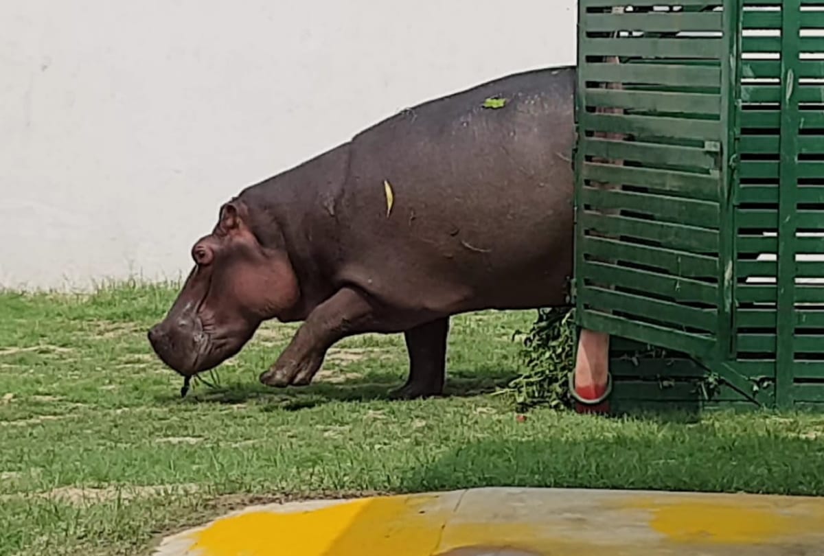 Children up to six years old will be admitted free in Gorakhpur Zoo