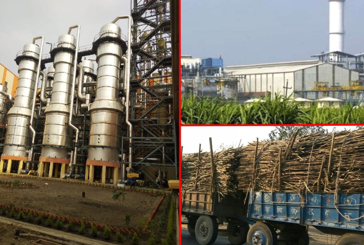 Loan: Economically weak sugar mills will have to pay two years moratorium on SDF, in easy installments