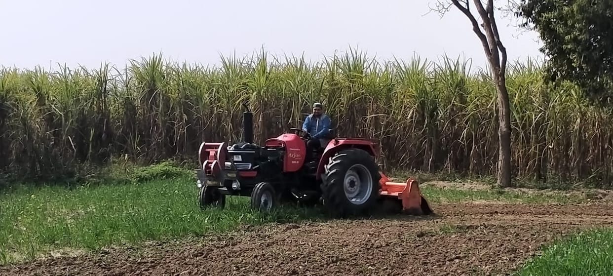 Farmer plowed wheat crop in farmland in Charathaval