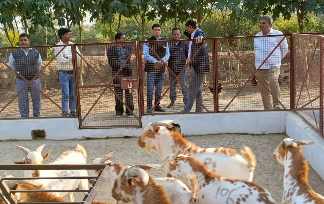 village,former,rupees,doctor,goat death