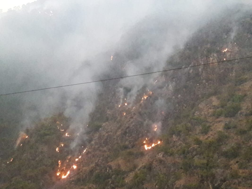 wildfire in uttarakhand : 23.15 hectares of forest caught fire in Srinagar region
