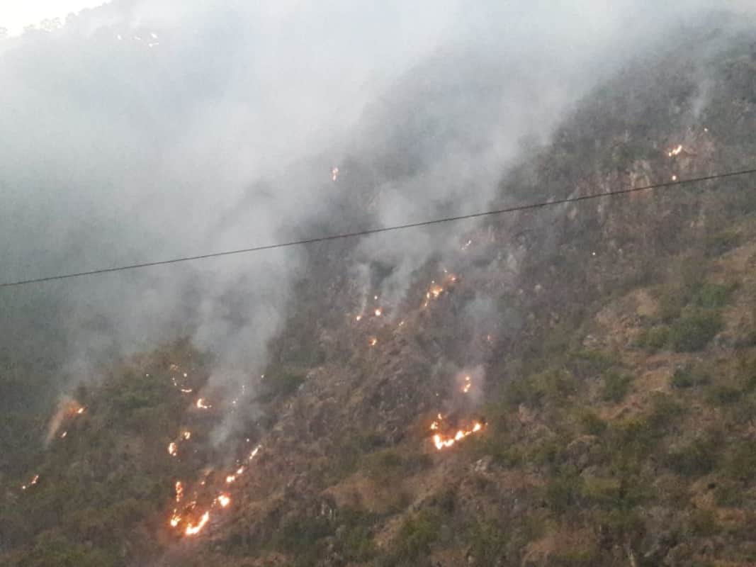uttarakhand news : fire season, wildfire reaches near school and village in karanprayag