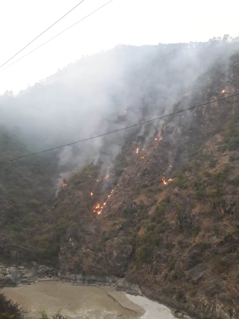 uttarakhand news : fire season, wildfire reaches near school and village in karanprayag