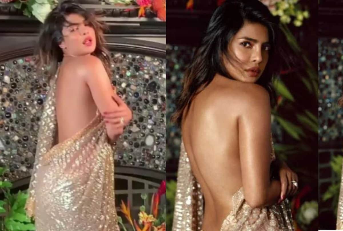 Priyanka Chopra Ball Shaped Costume To A Plunging Neckline Dress Actress Got Trolled Many Times
