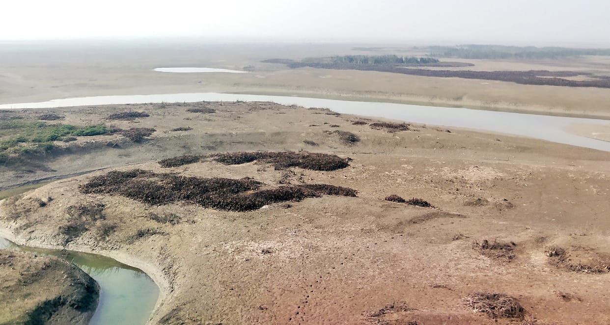 Water dry in Hyderpur Wetland, growing vegetation