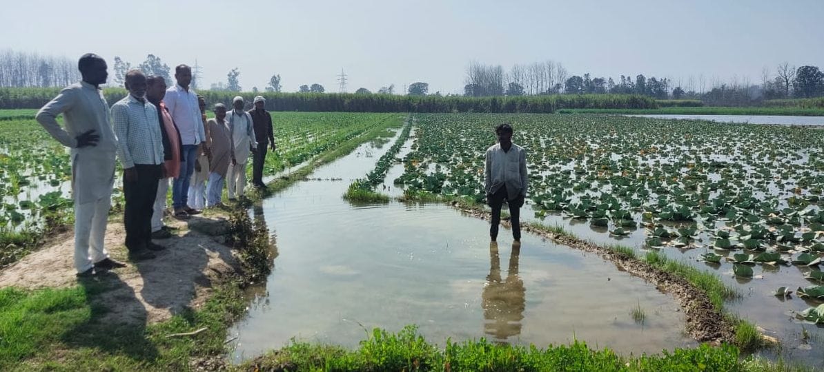 The fields are flooded due to the breaking of the Rajbahe
