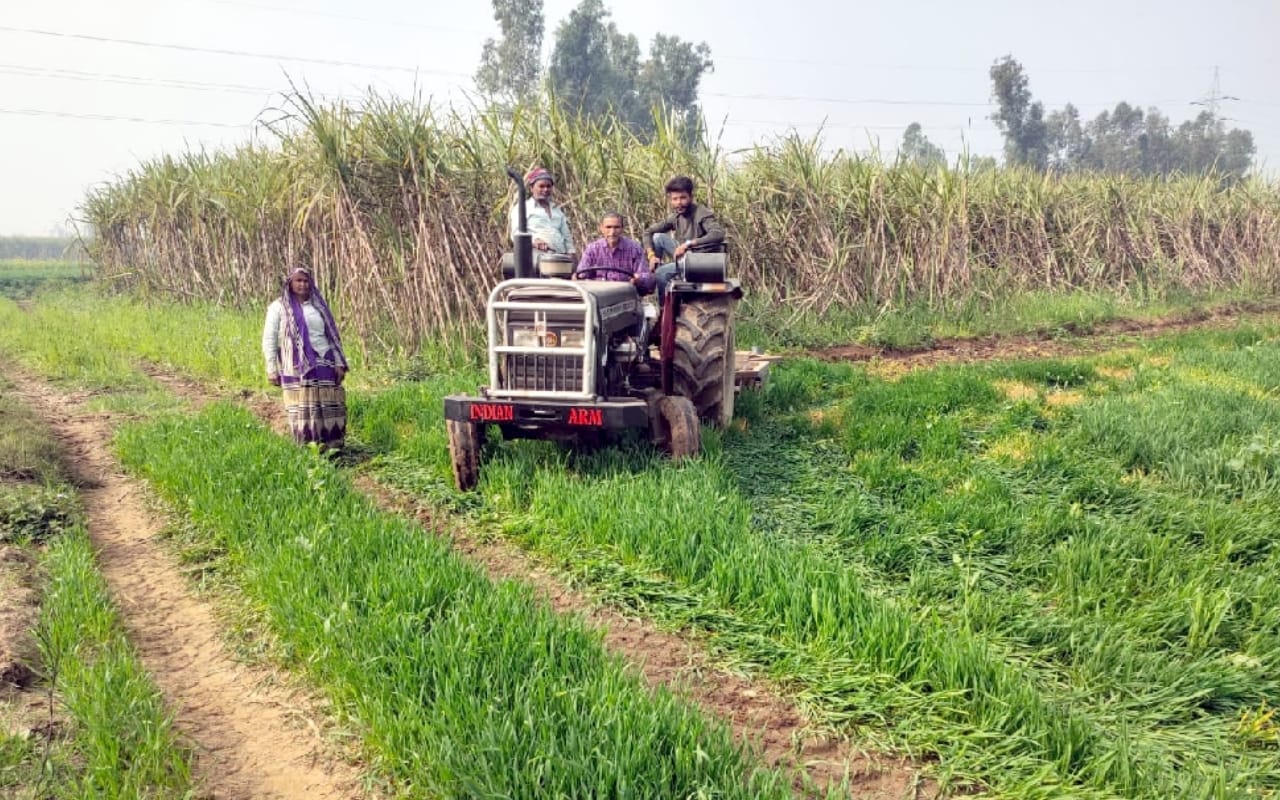 New trend of opposition to agricultural laws in west UP, angry farmers are destroying green crops