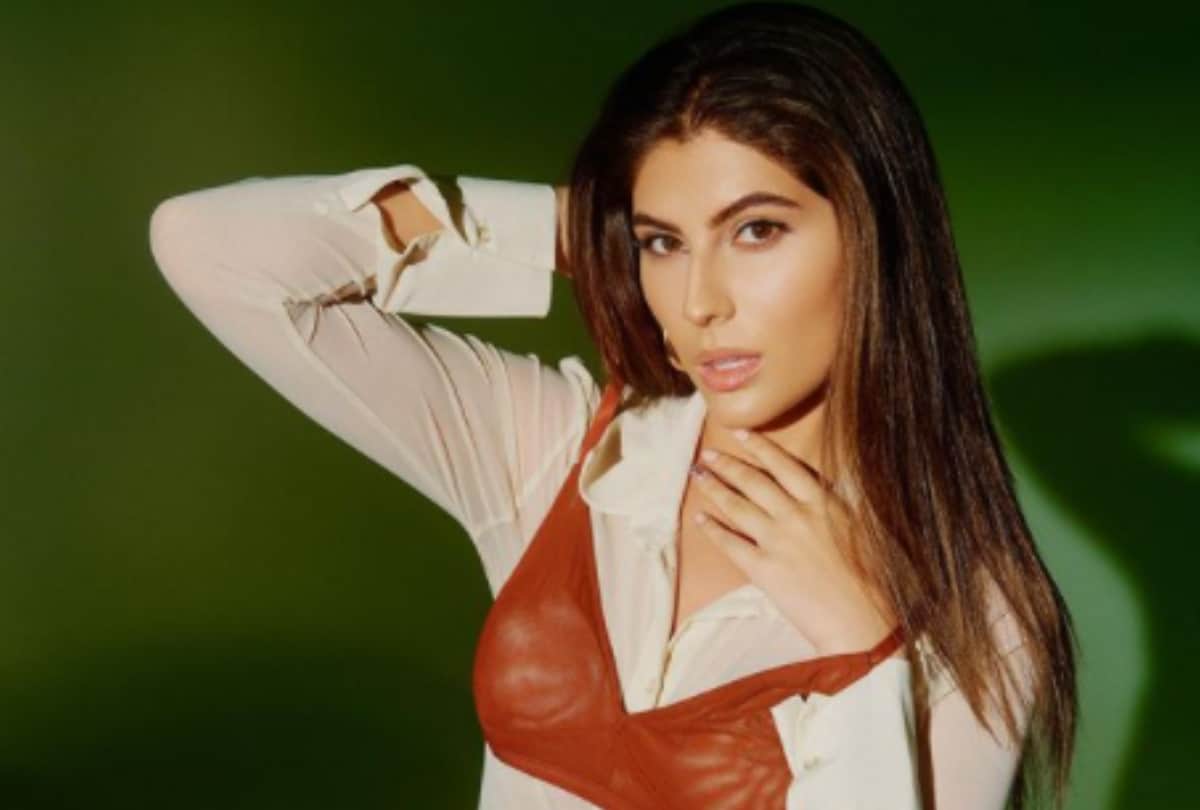 Man arrested for trying to barge into Elnaaz Norouzi’s room at a property in Goa