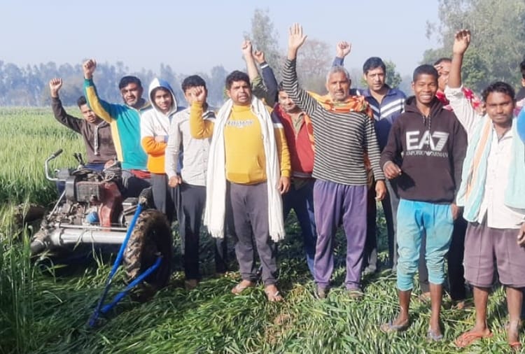 Haryana farmers destroyed their crop to oppose farm laws