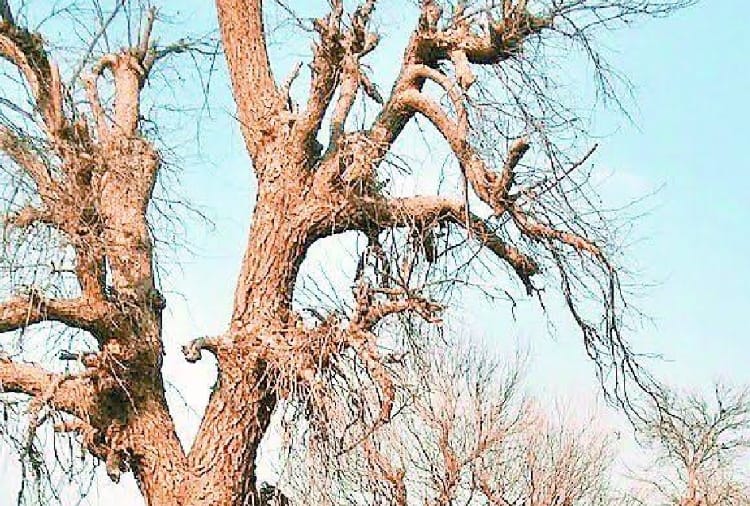 Ground water in Haryana reached at minimum level