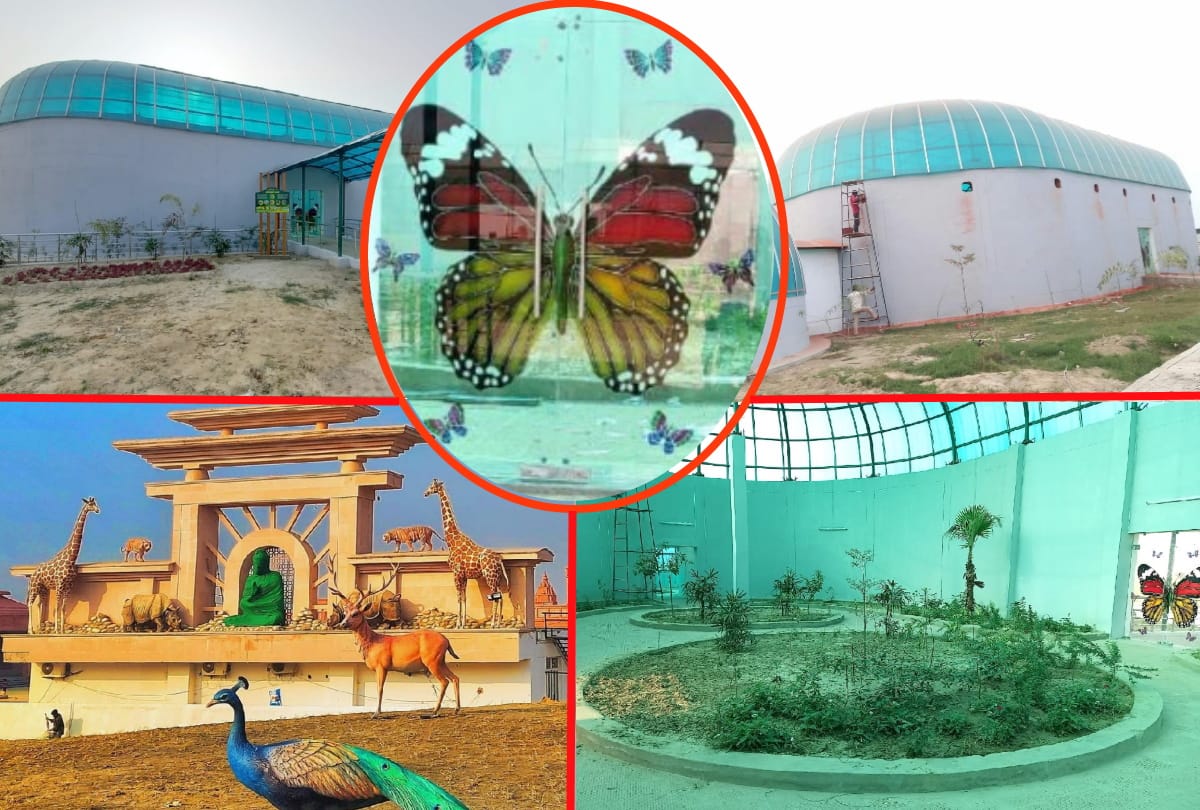 Gorakhpur Zoological Park Butterflies not be kept due to flaw in design of butterfly house