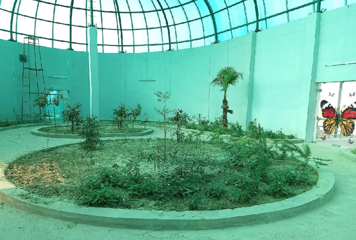 Gorakhpur Zoological Park Butterflies not be kept due to flaw in design of butterfly house