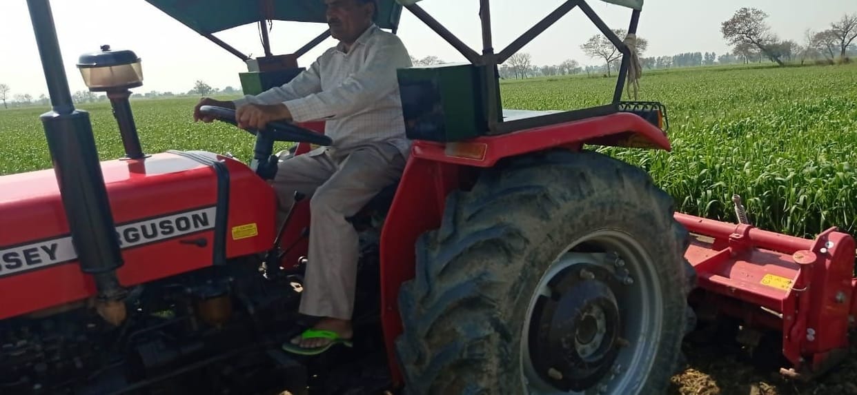 Berry farmer runs tractor on wheat crop standing on one and a half acres in protest against agricultural laws