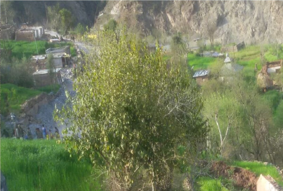 Indian Army carried out plantation campaign in Trna and Bujla areas
