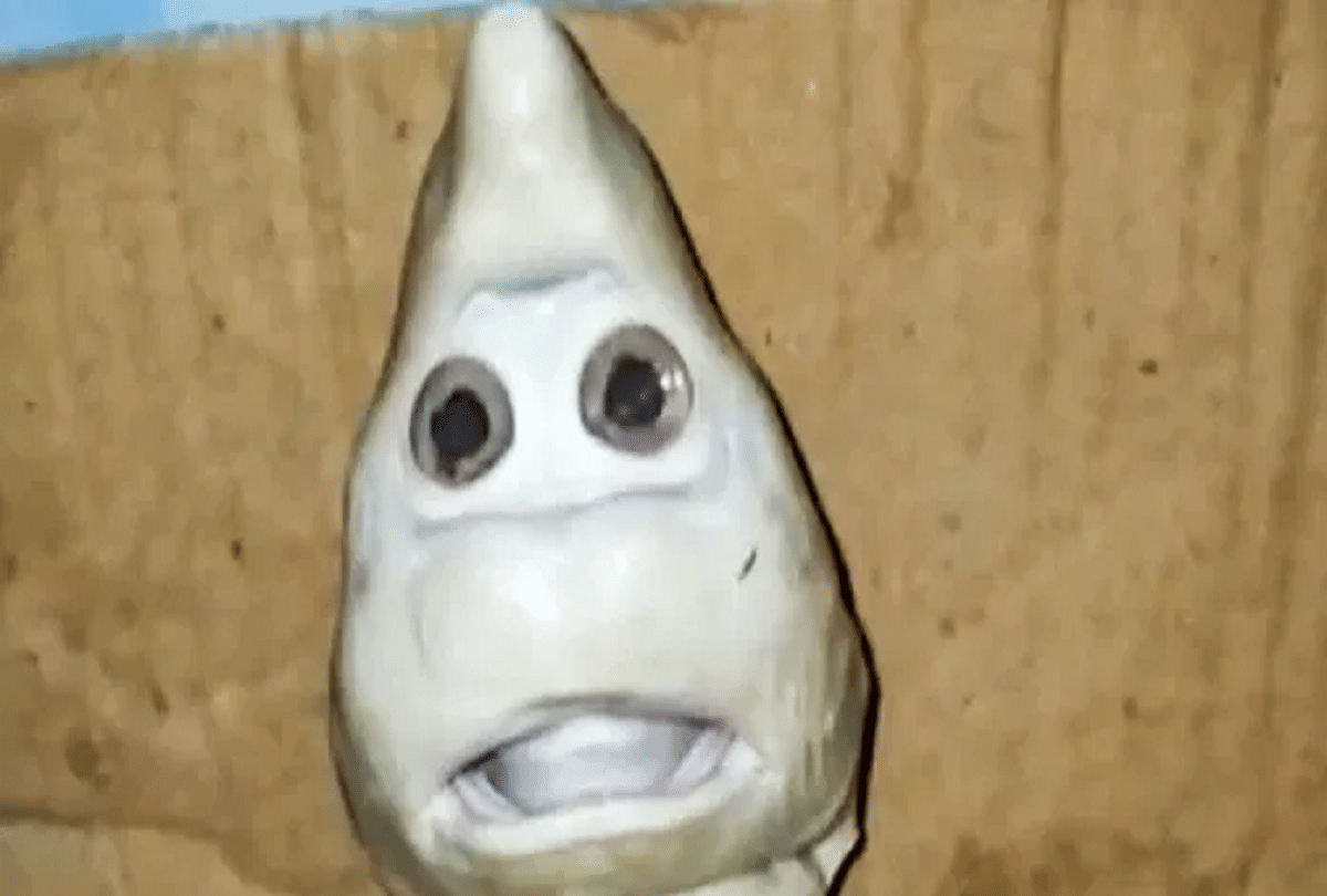 indonesia shark with human face caught in fishermans net