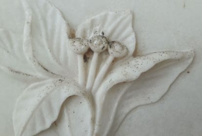 Taj Mahal Marbles Turns Green And Black Due To Insects Attack