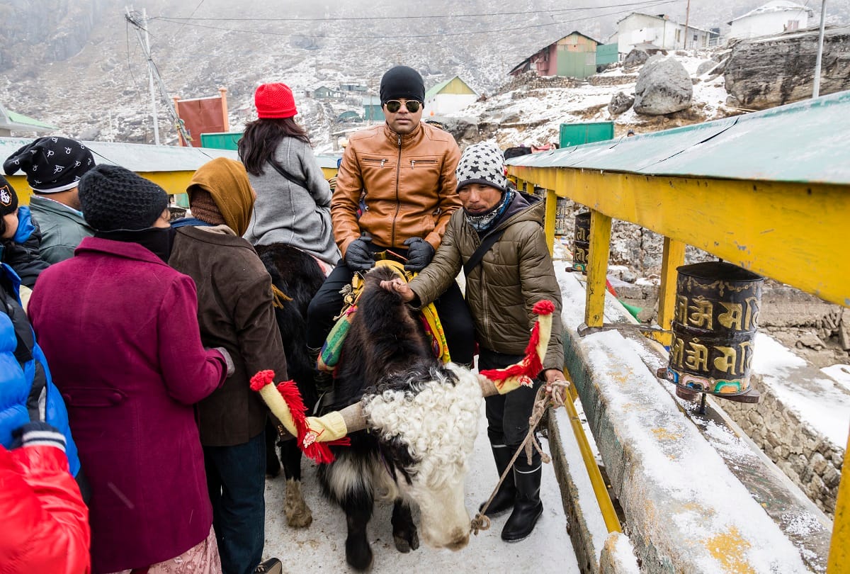 You can go to Kufri in Himachal Pradesh for trip