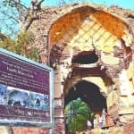 हाथी पर चल रहा है संरक्षण का कार्य