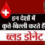 पेट्स ब्लड डोनेशन