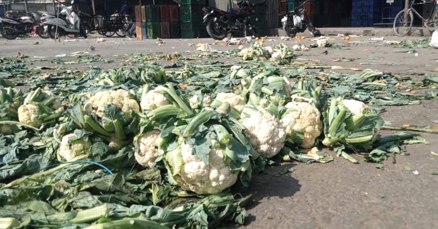 uttarakhand news : farmer though vegetables and destroying their crops photos