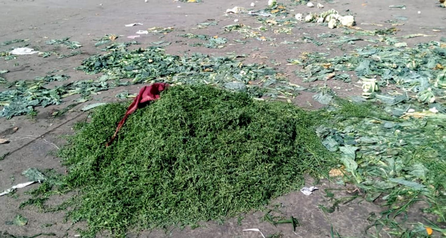 uttarakhand news : farmer though vegetables and destroying their crops photos