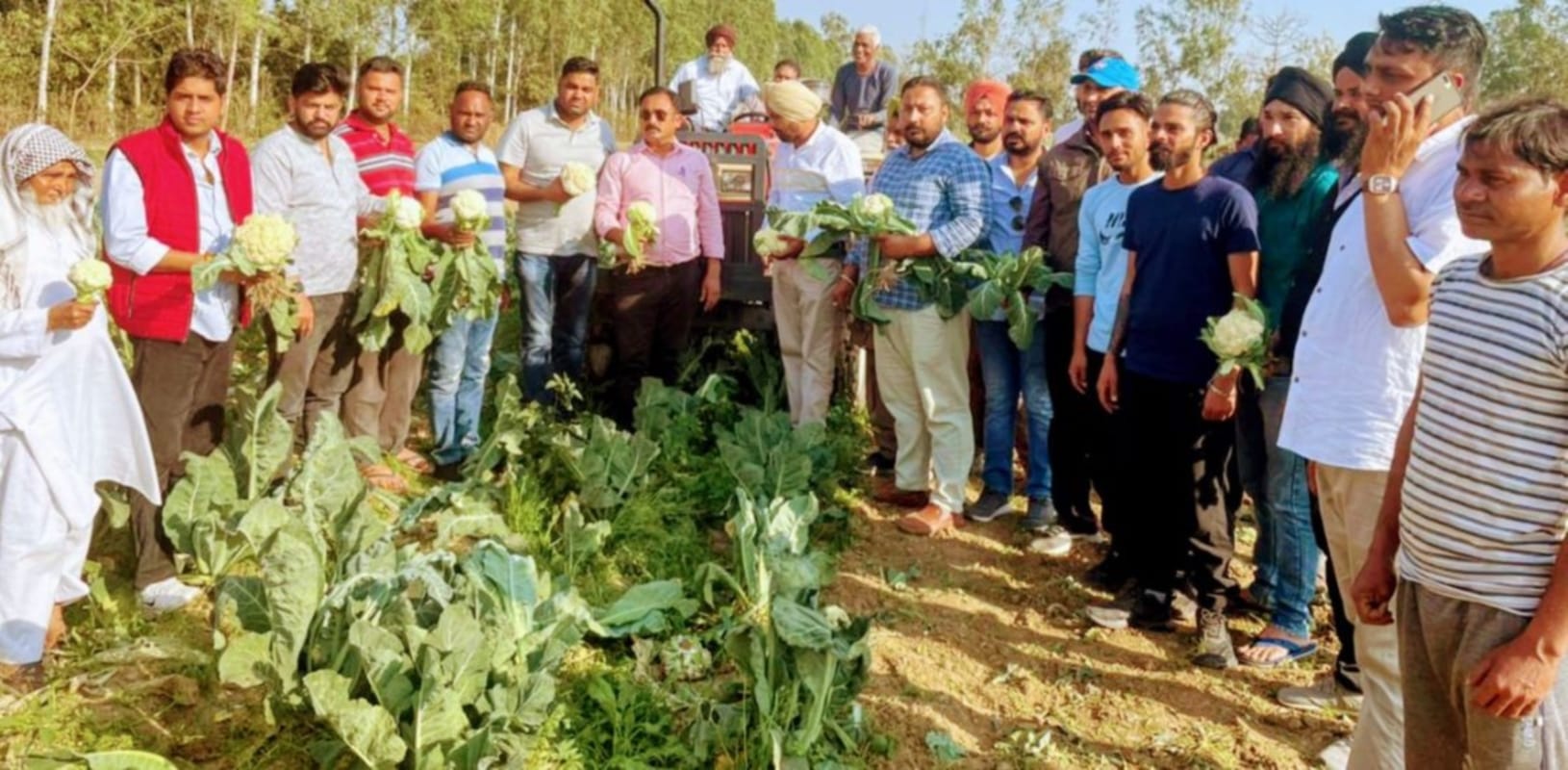 uttarakhand news : farmer though vegetables and destroying their crops photos
