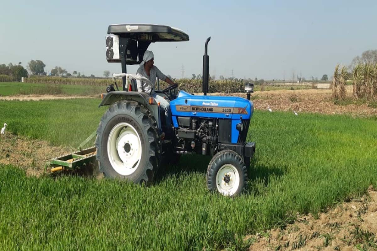 Exclusive: Potash is getting exhausted in the soil due to indiscriminate irrigation, the truth came out after examining 1673 soil samples
