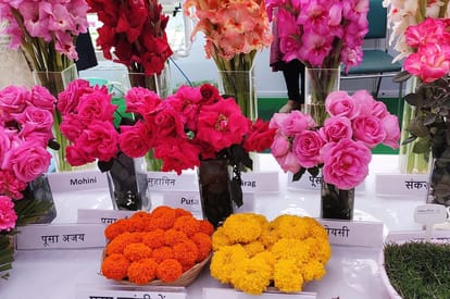 Agriculture Minister Narendra Singh Tomar said 86 percent of the farmers in the country have less than two hectares of land, so It does not benefit these farmers