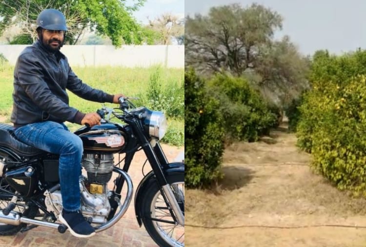 Haryana : Farmers of village Jhumpa Kalan did gardening and earn money 