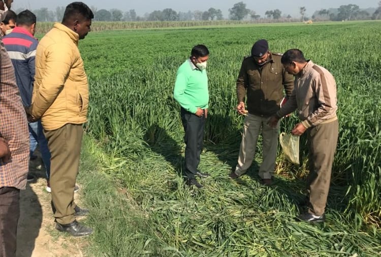A Man brutally killed at yamunanagar of Haryana