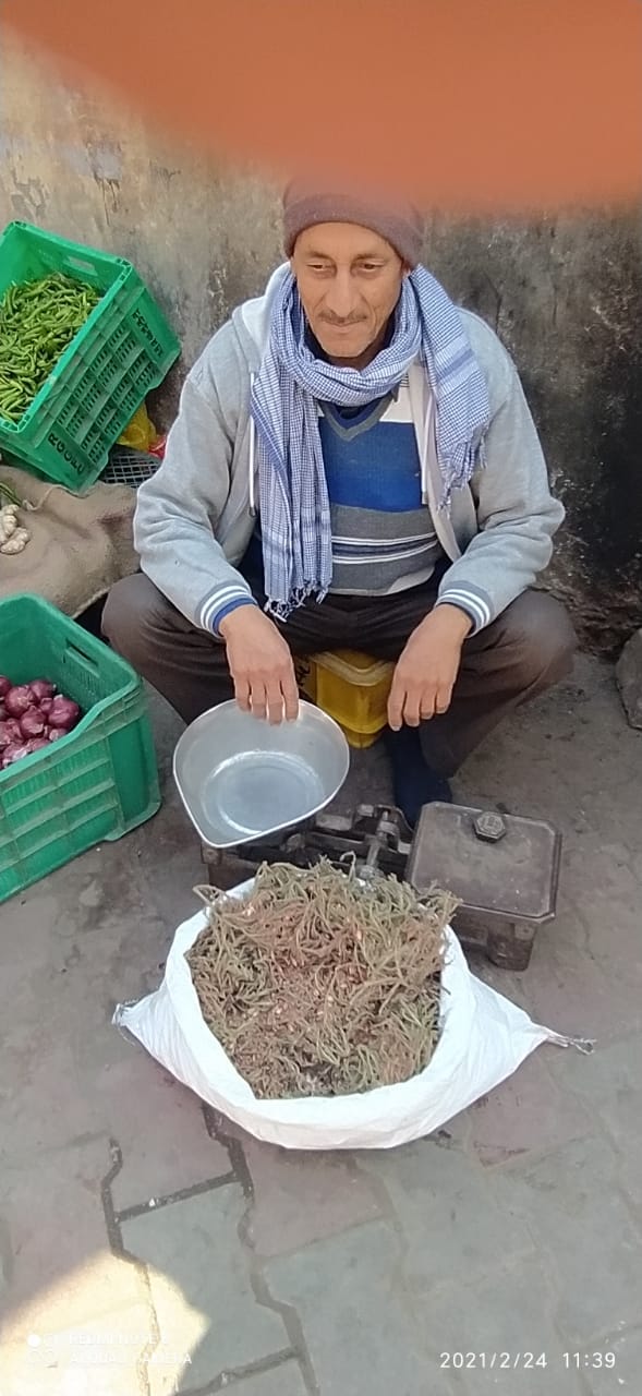 Flowers of Sihanjan grow in the forests of Sujanpur, selling hands