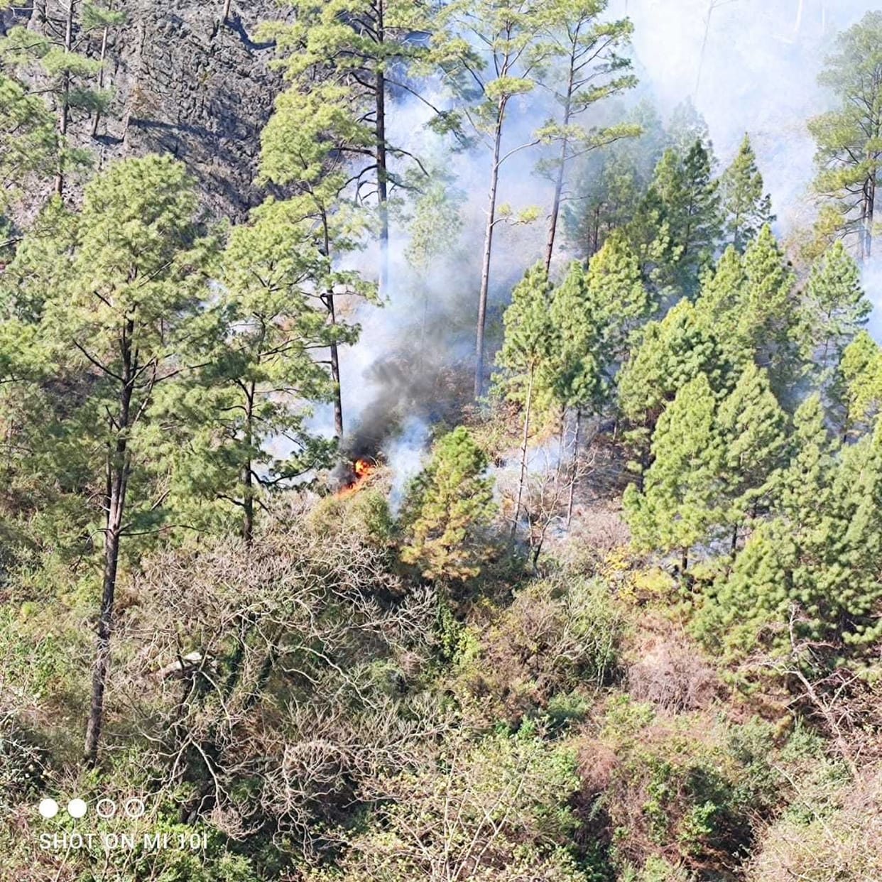 forest of bageshwar again caught fire