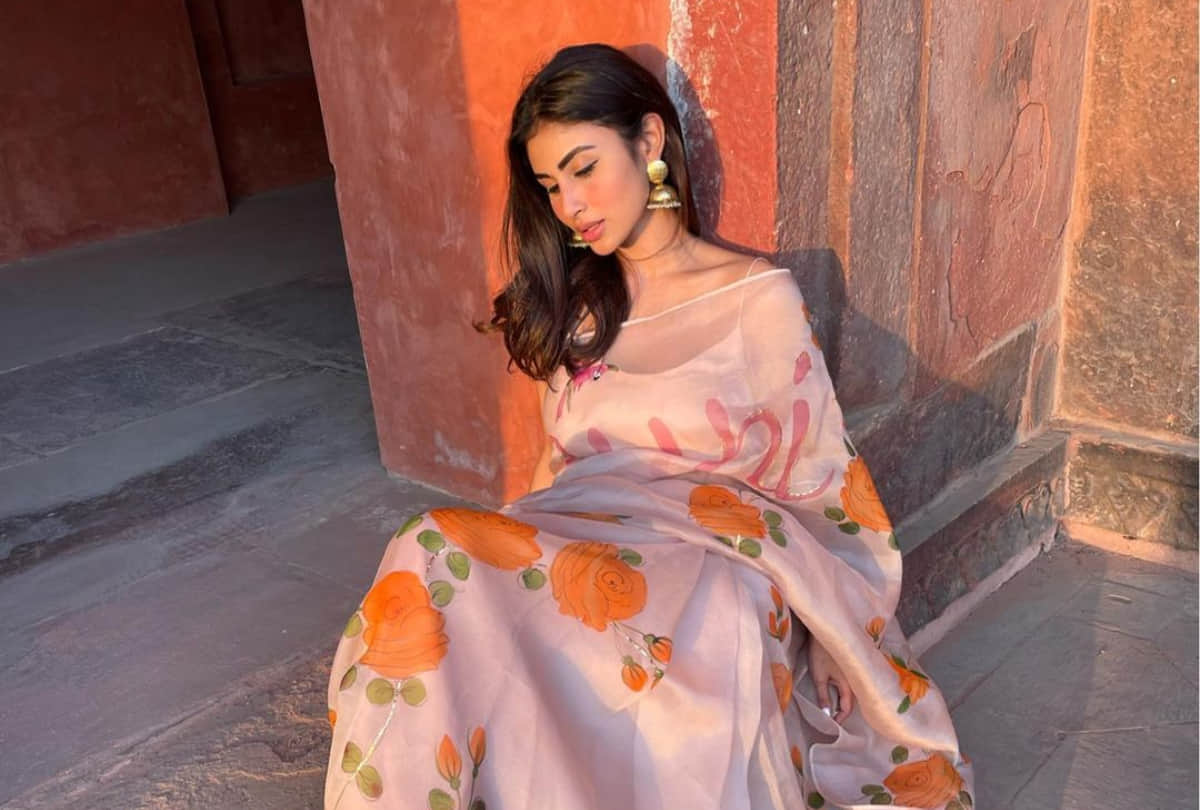 mouni roy see taj mahal in beautiful organza saree photos and video viral