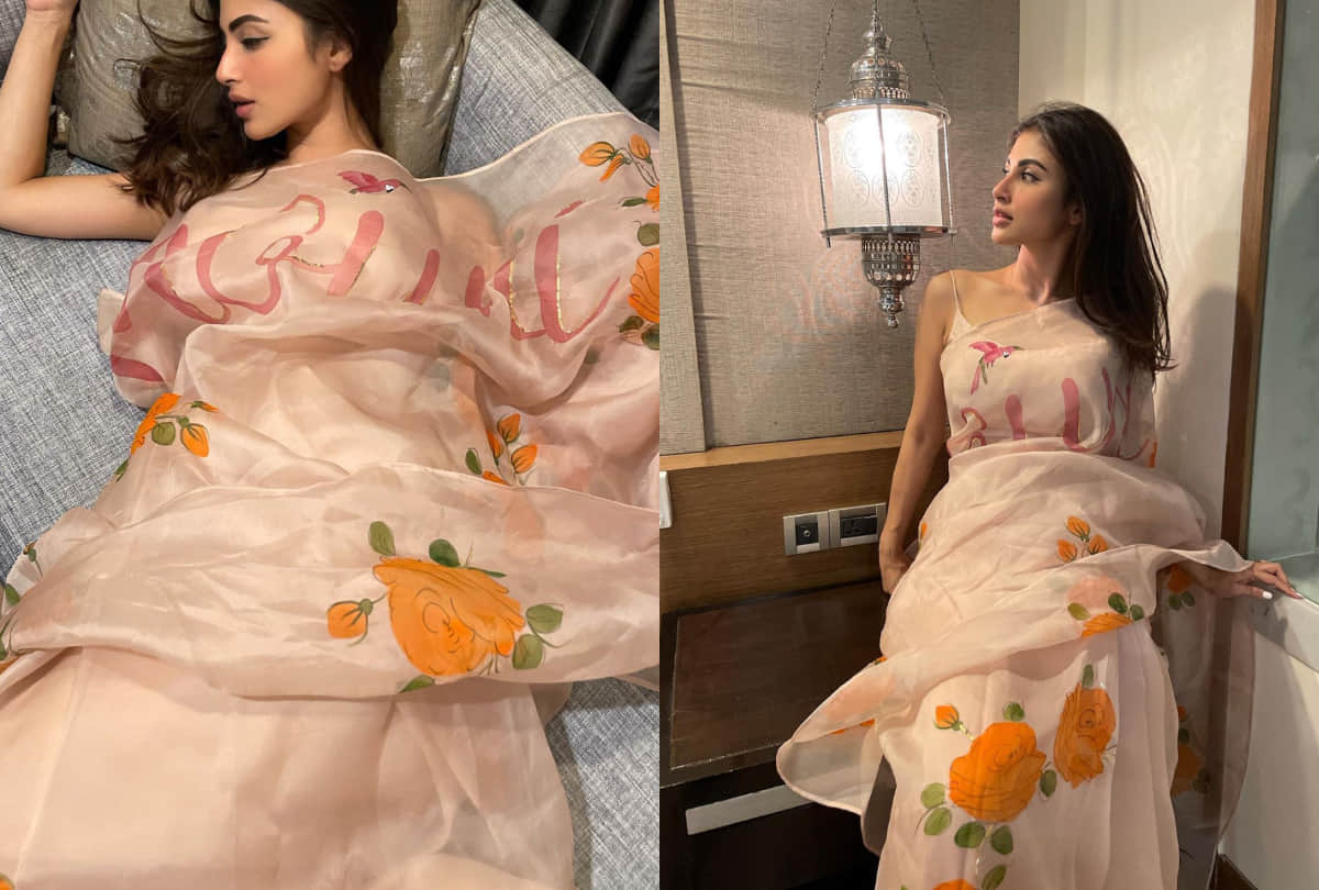 mouni roy see taj mahal in beautiful organza saree photos and video viral