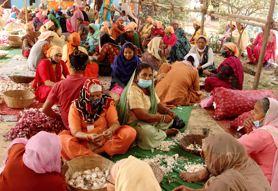 Shir Goverdhanpur now become mini panjab on sant ravidas jayanti occasion in varanasi